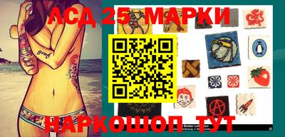 скорость Дубна