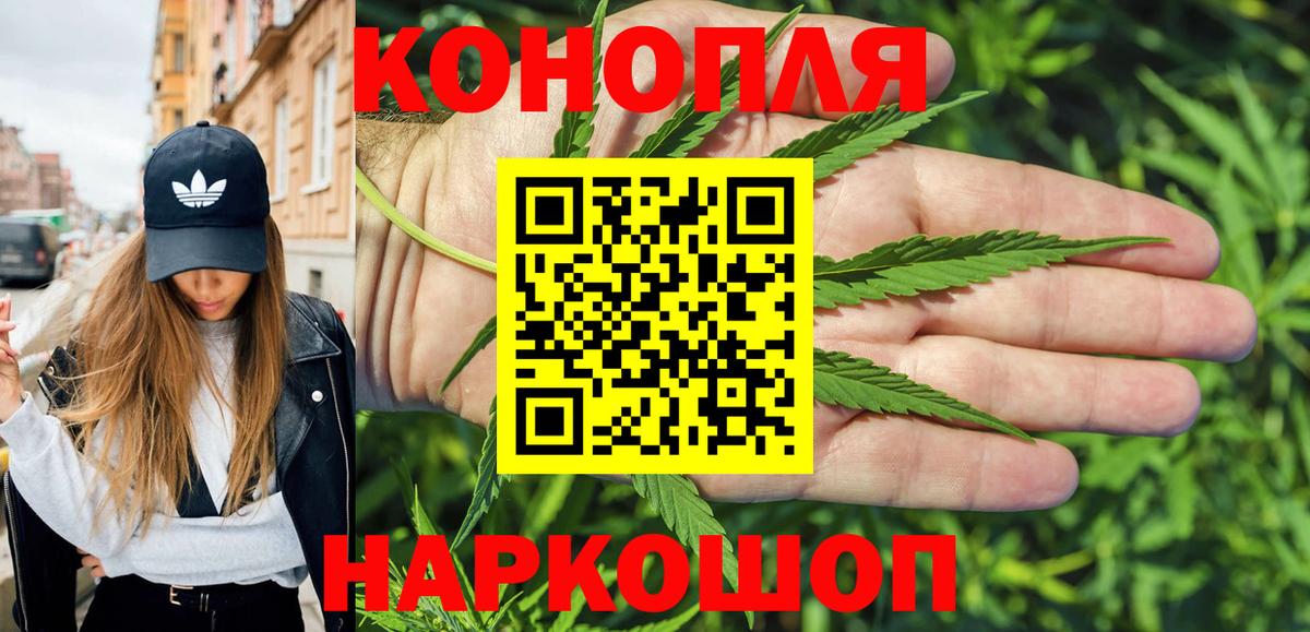 Канабис гибрид Кореновск